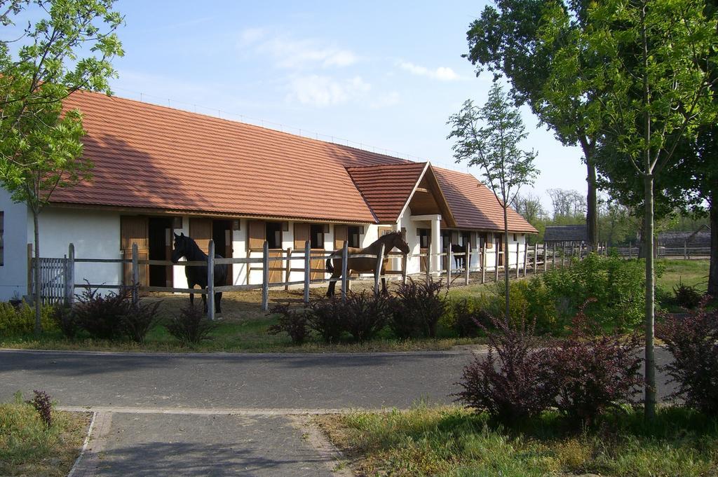 Sarlospuszta Club Hotel Tatárszentgyörgy Εξωτερικό φωτογραφία