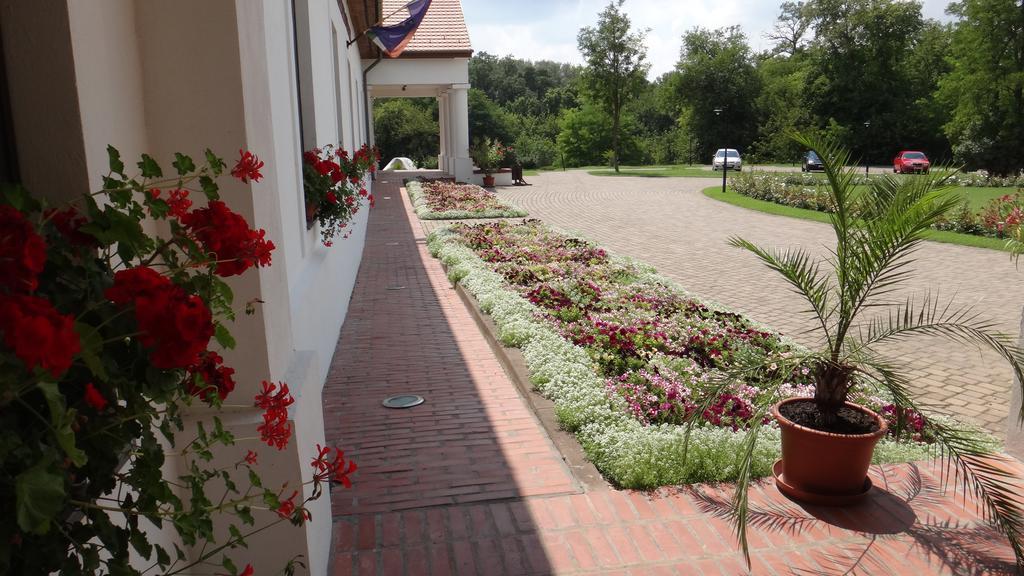 Sarlospuszta Club Hotel Tatárszentgyörgy Εξωτερικό φωτογραφία